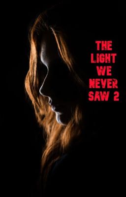 THE LIGHT WE NEVER SAW 2