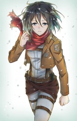 The Lone Soldier (Male Reader x Mikasa Ackerman) [AOT Fan-Fiction!]