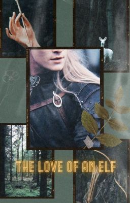 The love of an elf (Legolas x M!Reader)