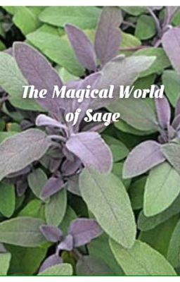 The Magical world of Sage