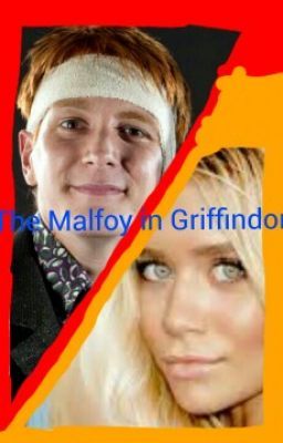 The Malfoy in Griffindor  A George Weasley Fanfic