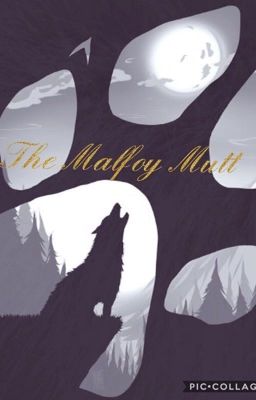 The Malfoy Mutt (hp fanfic)