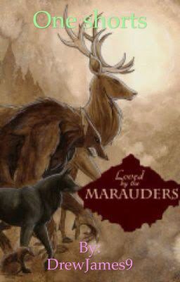 The Marauders X (y/n) one shorts. *hiatus*