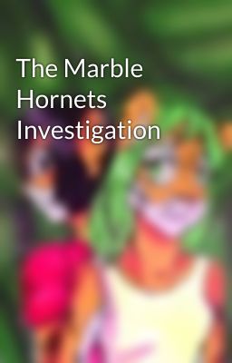 The Marble Hornets Investigation