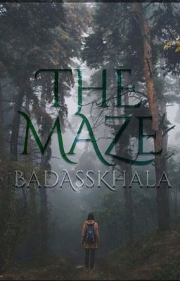 The Maze