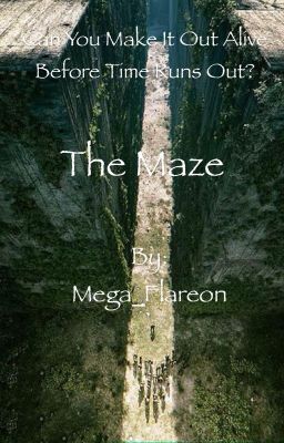 The Maze