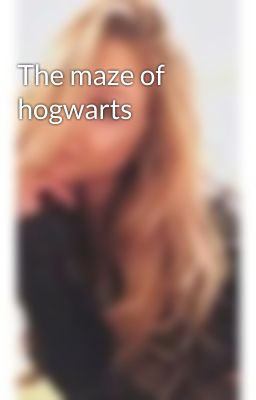 The maze of hogwarts