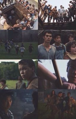 The Maze Runner Images