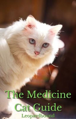 The Medicine Cat Guide