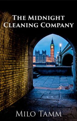 The Midnight Cleaning Company