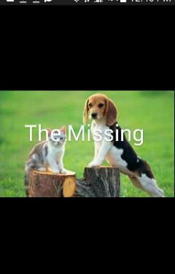 The Missing 