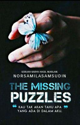 The Missing Puzzle