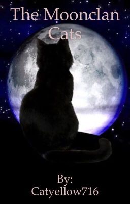 The Moonclan Cats