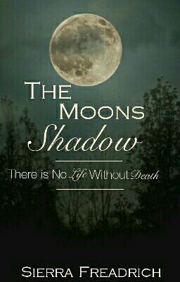 The Moons Shadow