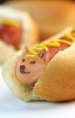 THE MYSTERIOUS HOTDOGE