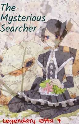 The Mysterious Searcher 