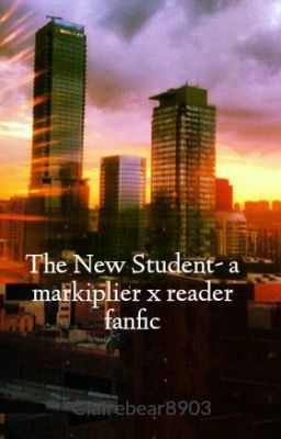 The New Student- a markiplier x reader fanfic