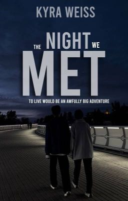 The Night We Met