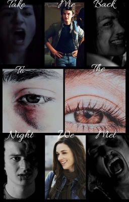 The Night We Met  (Steve Harrington X Reader)