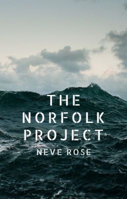 The Norfolk Project