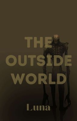 The Outside World 