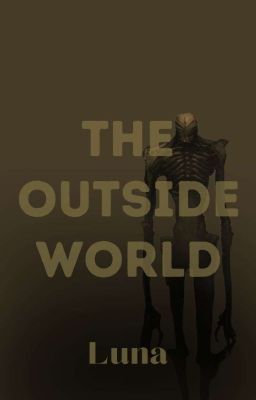 The Outside World 