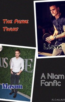 The Payne Twins [A Niam FanFic]