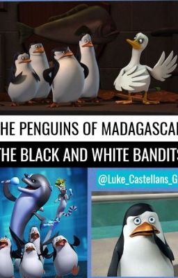 The Penguins of Madagascar-The Black and White Bandits