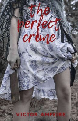 The Perfect Crime