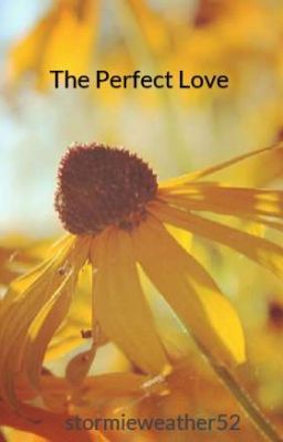 The Perfect Love