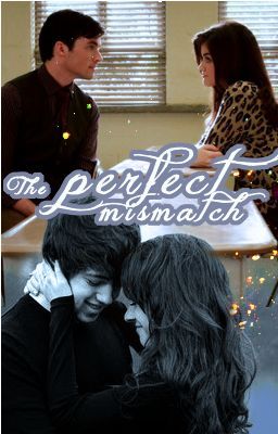 The Perfect Mismatch (Completed)