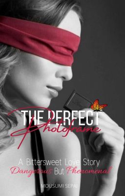 The Perfect Photoframe - A Dark Billionaire Romance [Photoframe Series Book #3]