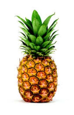 The Pineapple Prophecies