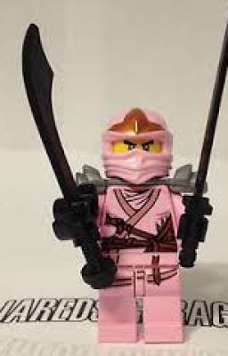 The Pink Ninja (Ninjago Fan-Fic)