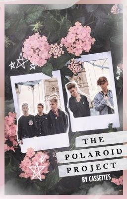 the polaroid project • why don't we