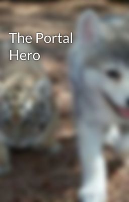 The Portal Hero