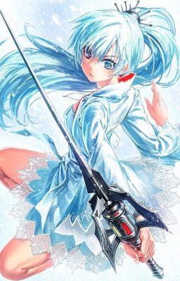 The princess and the fighter ( Weiss Schnee x Male Reader)