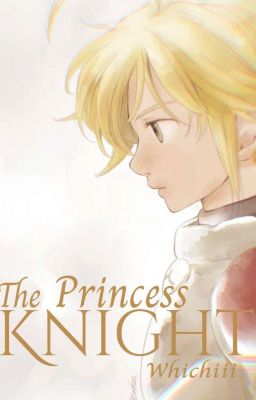 The Princess Knight || Melizabeth