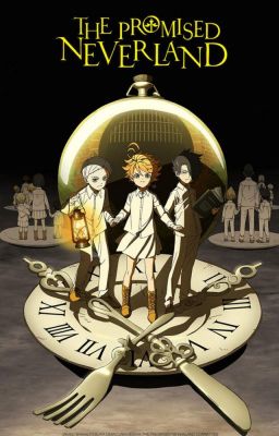 The Promised Neverland x Male Reader