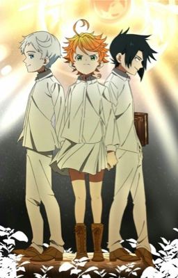 The Promised Neverland X Reader 