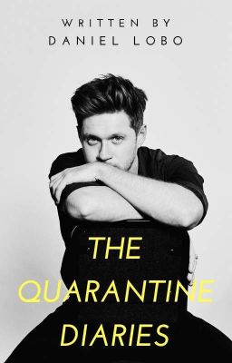 the quarantine diaries | Narry Storan AU