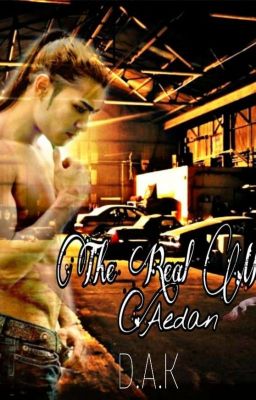 The Real Men Tome 2: Aedan