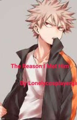 The Reason I Met Him...      By:Lonelycosplayergirl