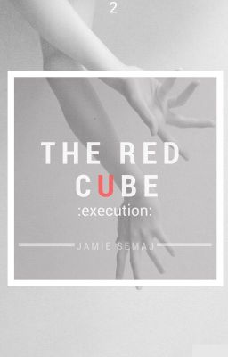 The Red Cube: execution