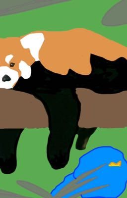 THE RED PANDA