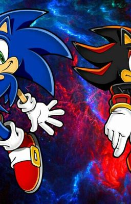 The Retard Adventures of Sonic and Shadow.