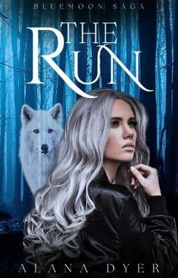 The Run [amazon edition]