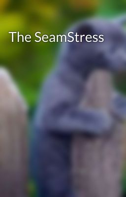 The SeamStress