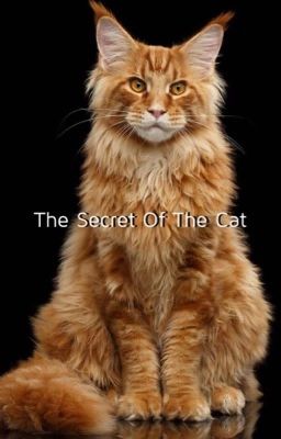 The Secret Of the Cat