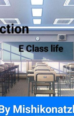  The Section E Class Life